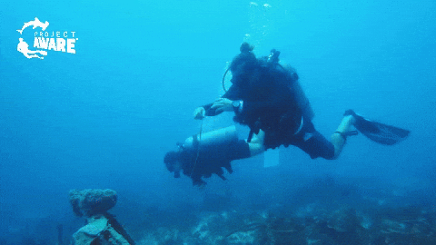 Marine Biologist